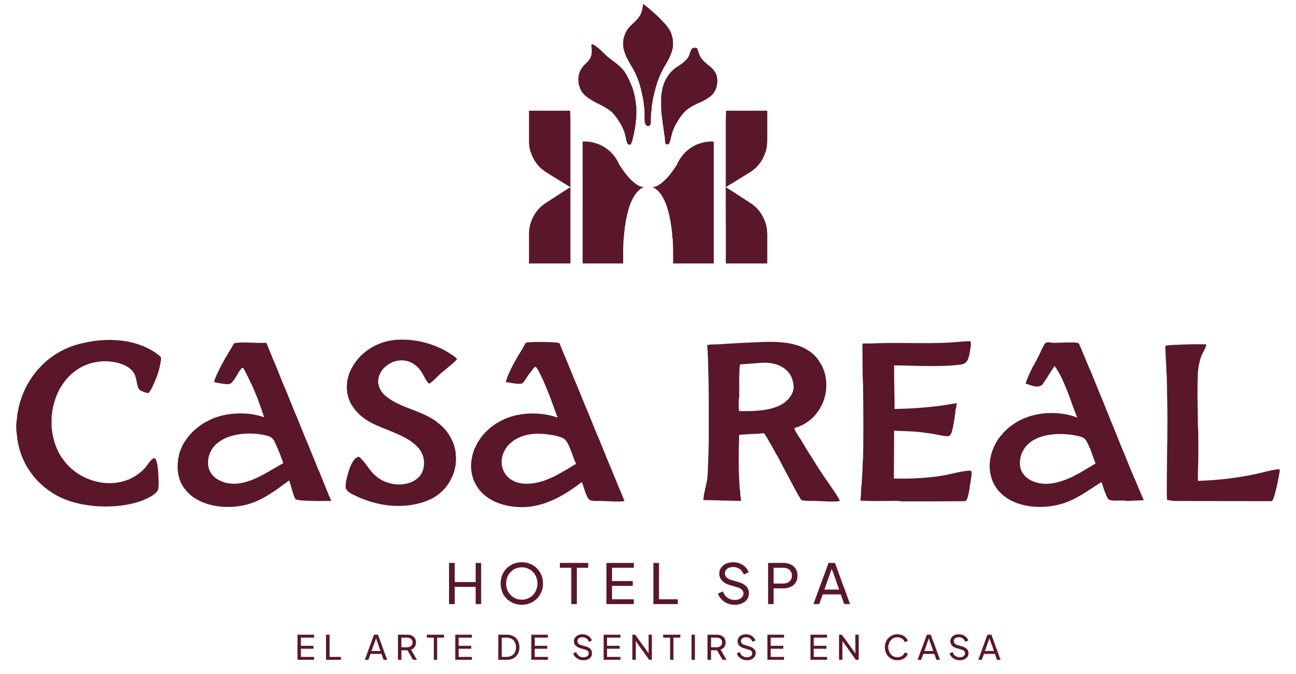 hotelspa logo original